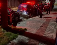 Médico é suspeito de agredir cachorro a pauladas; VÍDEO