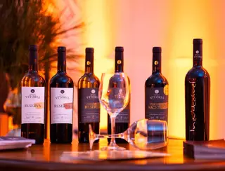 Vila Galé anuncia experimento de plantação de vinhas e oliveiras em Ouro Preto