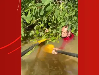 Bombeiros de Maringá resgatam idoso que estava agarrado em árvore durante enchente no Rio Grande do Sul: VÍDEO