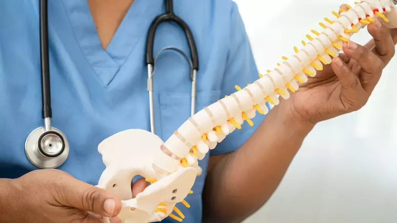 Anvisa Autoriza Estudo de Medicamento Nacional para Lesões na Medula Espinhal