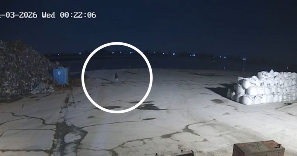 Polícia britânica divulga novas imagens de brasileira desaparecida; veja